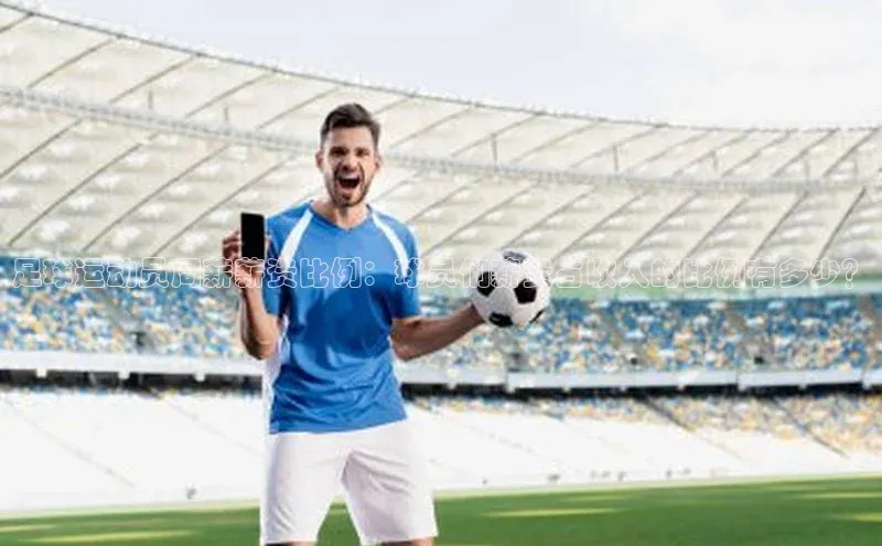 星空手机网页版登录入口壹网壹创足球运动员周薪薪资比例：球员们薪资占收入的比例有多少？