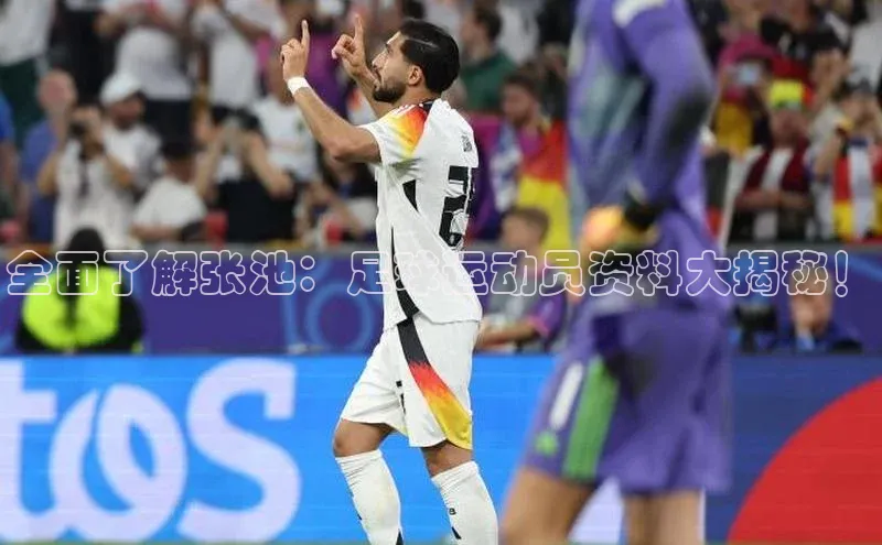 星空体育入口app百度数据开放平台全面了解张池：足球运动员资料大揭秘！