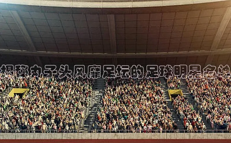 星空体育在线网页版APP下载顺丰揭秘丸子头风靡足坛的足球明星名单