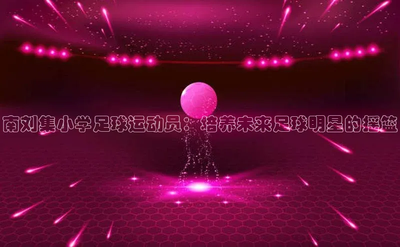 星空体育app下载免费安装百度搜索资源平台南刘集小学足球运动员：培养未来足球明星的摇篮