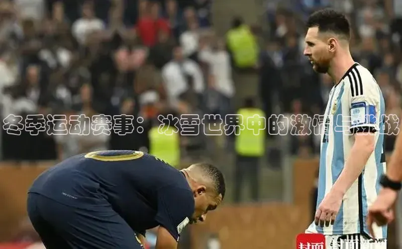 星空体育app官网下载安卓百度翻译冬季运动赛事：冰雪世界中的激情与挑战