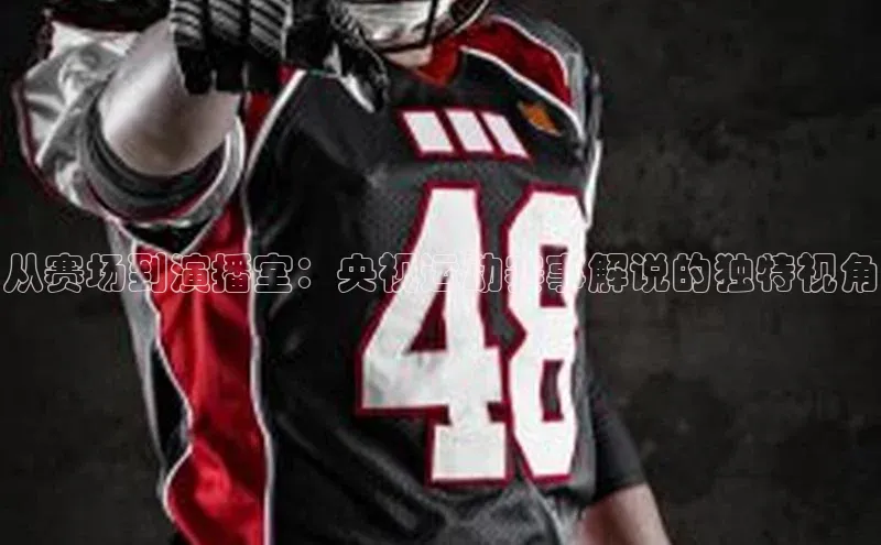 星空综合体育APP下载携程从赛场到演播室：央视运动赛事解说的独特视角