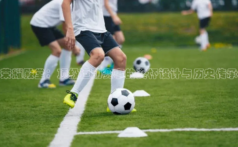 荣耀殿堂：顶级运动赛事的奖杯设计与历史传承