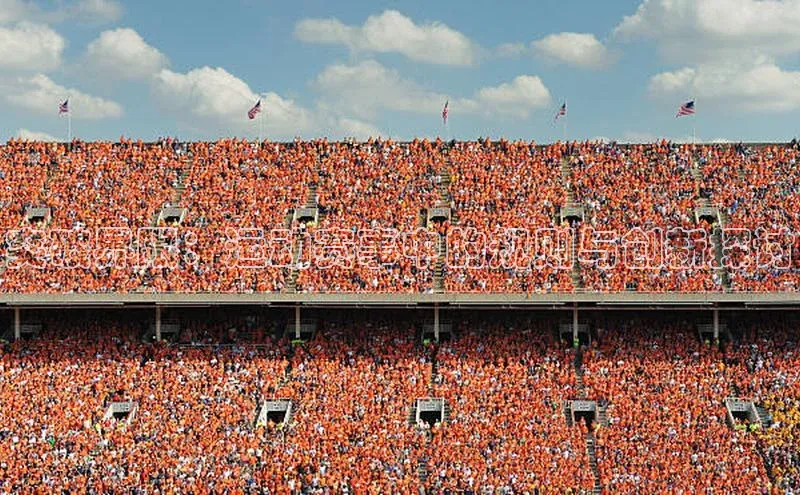 突破界限：运动赛事中的规则与创新探讨