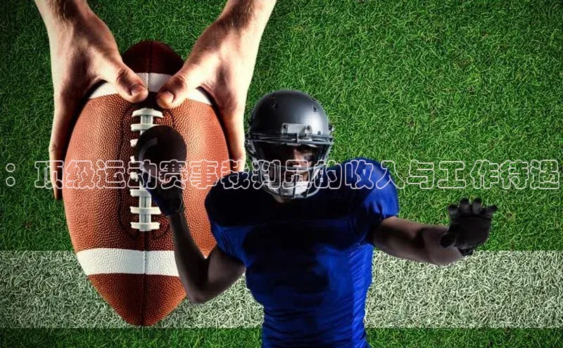 ：顶级运动赛事裁判员的收入与工作待遇