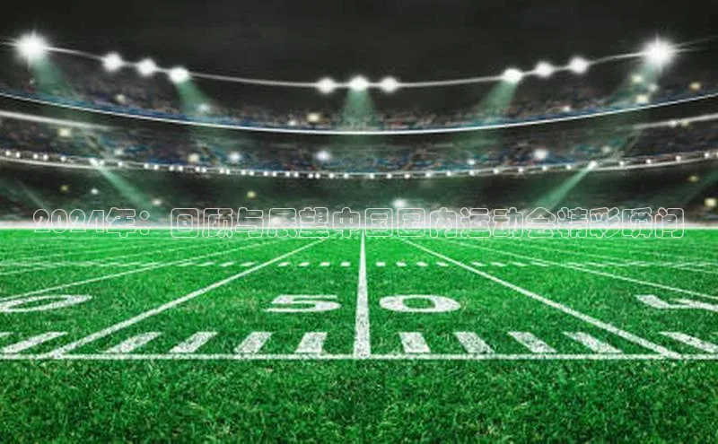 2024年：回顾与展望中国国内运动会精彩瞬间