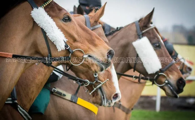 2024年度世界体育风云：从足球到篮球，从田径到网球的精彩对决回顾