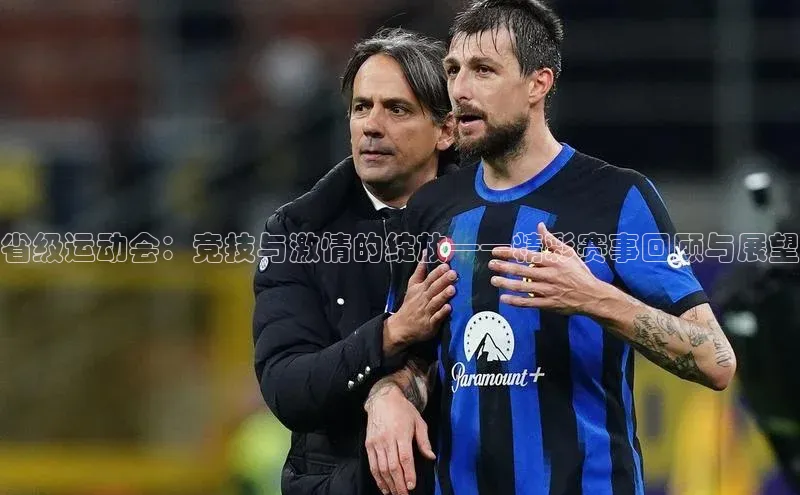 省级运动会：竞技与激情的绽放——精彩赛事回顾与展望