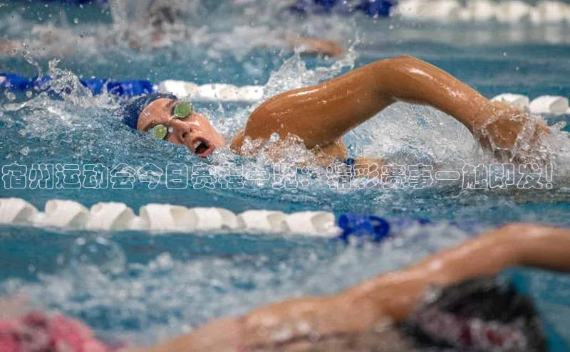 宿州运动会今日赛程一览：精彩赛事一触即发！