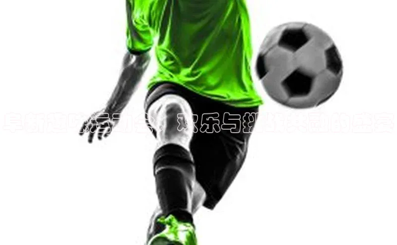 阜新趣味运动会：欢乐与挑战共融的盛宴