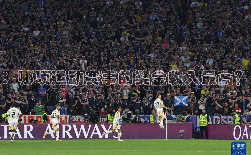 ：哪项运动赛事的奖金收入最高？