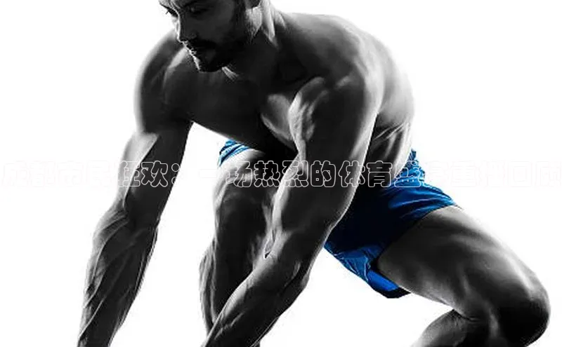 成都市民狂欢：一场热烈的体育盛宴重播回顾