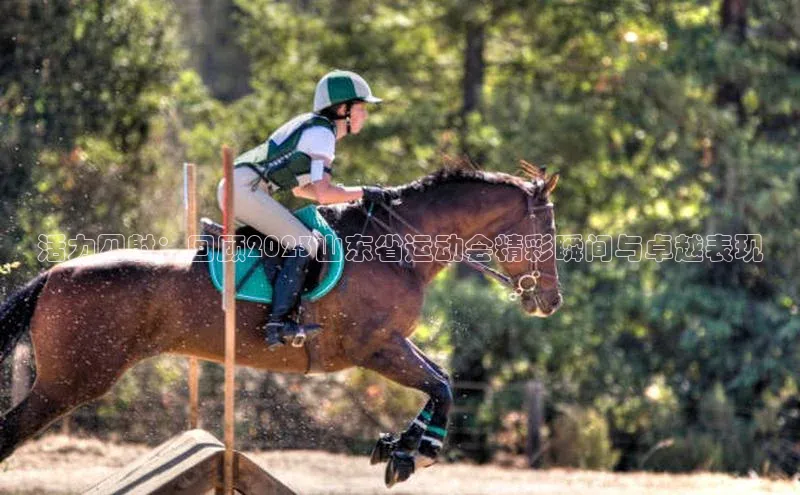 活力四射：回顾2023山东省运动会精彩瞬间与卓越表现