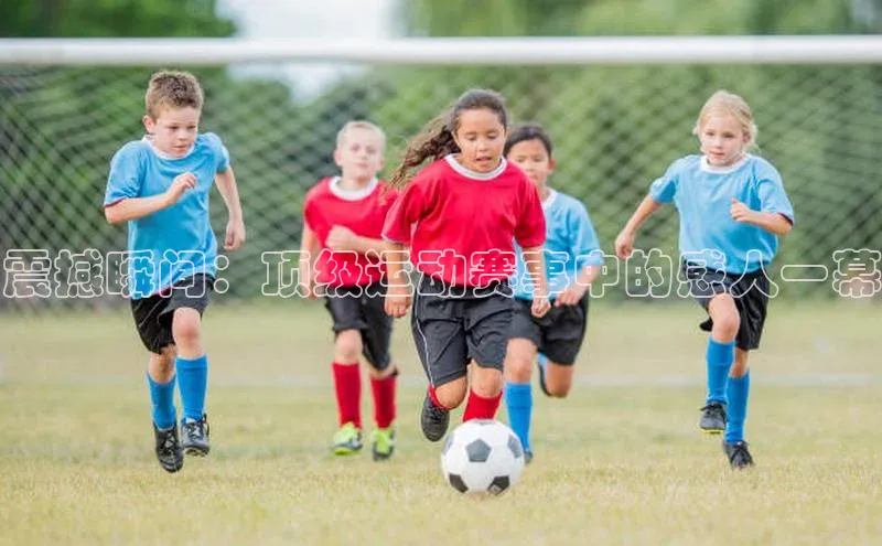 震撼瞬间：顶级运动赛事中的感人一幕