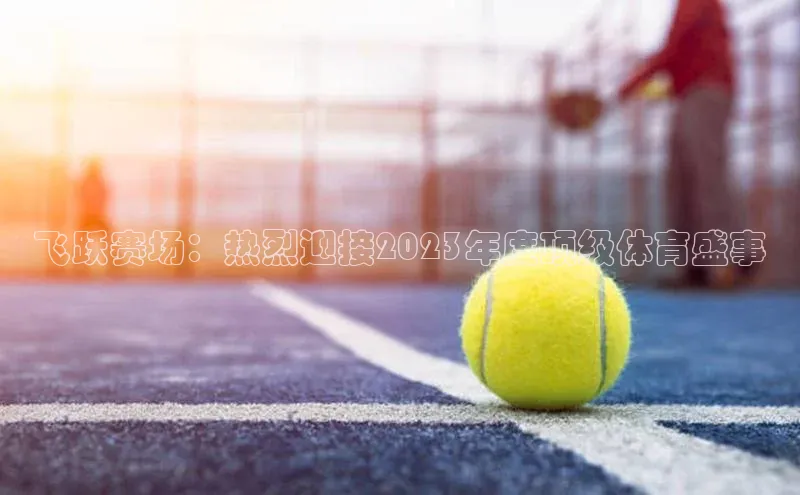 飞跃赛场：热烈迎接2023年度顶级体育盛事