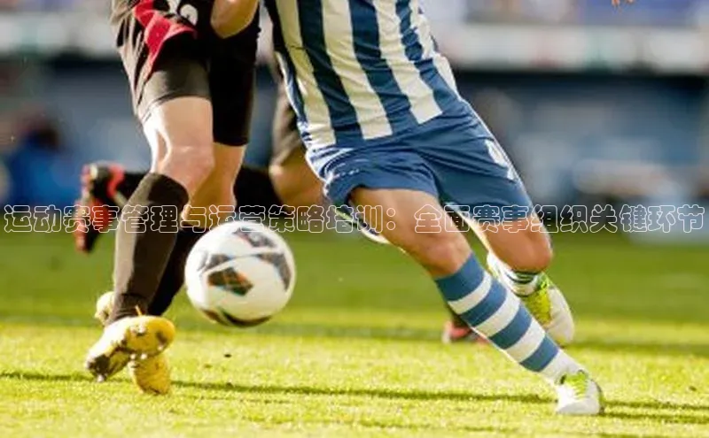 运动赛事管理与运营策略培训：全面赛事组织关键环节