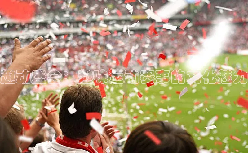 趣动盛会：趣味运动赛事的文化魅力