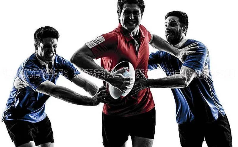 星空体育在线网页版