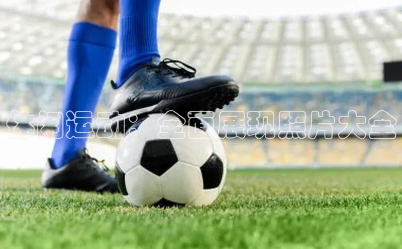 星空体育app下载免费安装