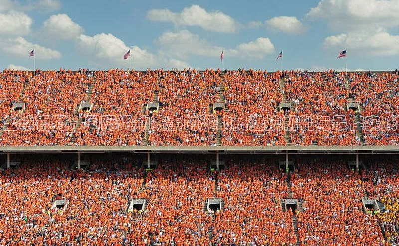 星空体育综合中国官网