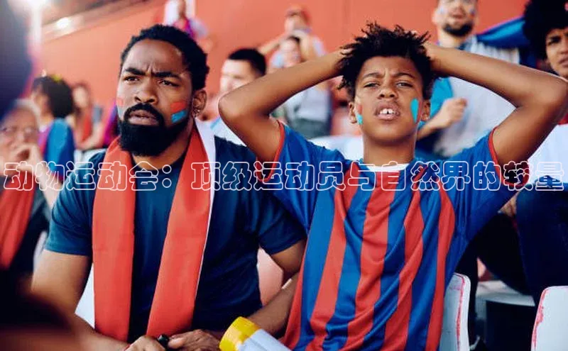 星空体育app下载免费安装